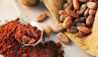 Цены на какао вырастут по всему миру Цены на какао вырастут по всему миру