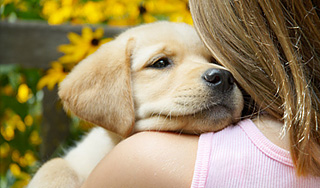 В Петербурге ребенка отравили собачьим ядом В Петербурге ребенка отравили собачьим ядом