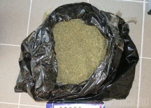 За неделю таможенники выявили 12 случаев контрабанды наркотиков