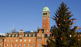 Новогоднюю ель Эстонии преследуют неудачи Новогоднюю ель Эстонии преследуют неудачи