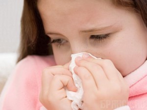 В Брянскую область пришел вирус гриппа