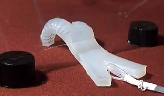 Пентагон работает над надувным роботом Пентагон работает над надувным роботом