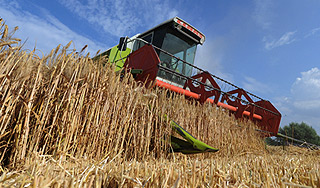 Россия отправит в США комбайны Россия отправит в США комбайны