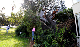 Ураган лишил света миллион калифорнийцев Ураган лишил света миллион калифорнийцев