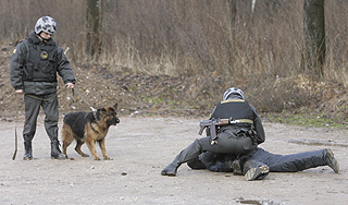 В Казахстане уничтожены террористы В Казахстане уничтожены террористы