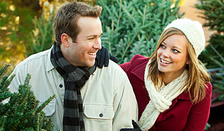 На Украине предлагают живые елки напрокат На Украине предлагают живые елки напрокат