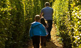 В санатории под Москвой изнасиловали детей В санатории под Москвой изнасиловали детей