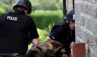 В США собака поймала голого угонщика В США собака поймала голого угонщика