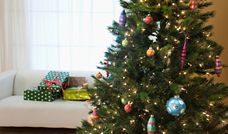 Какую елку лучше поставить на Новый год Какую елку лучше поставить на Новый год