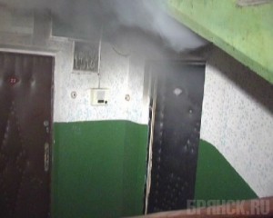 Житель Бежицы сгорел в собственной квартире