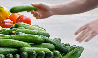 Мусульманкам запретили трогать огурцы Мусульманкам запретили трогать огурцы