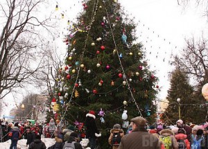 50 елей украсят Брянск в преддверии новогодних праздников
