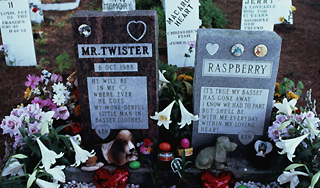 Американцев похоронят вместе с животными Американцев похоронят вместе с животными