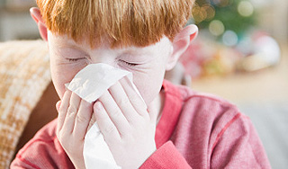 Новый год вызывает аллергию Новый год вызывает аллергию