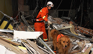 Новая Зеландия пережила три землетрясения Новая Зеландия пережила три землетрясения