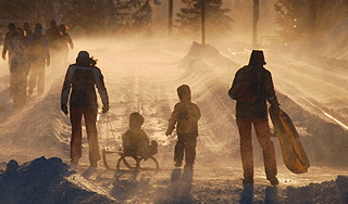 Ветер повалил главную елку Сахалина Ветер повалил главную елку Сахалина