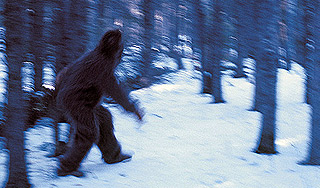 Пограничники поймали странное существо Пограничники поймали странное существо