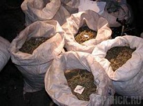 С начала года пограничники изъяли 42 килограмма наркотиков