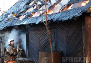 В сгоревшем доме пожарные обнаружили тела бабушки и ее внучки