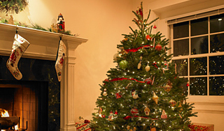 Новый год пришел на планету Новый год пришел на планету