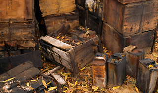 Пенсионеру продали автоматы на дрова Пенсионеру продали автоматы на дрова