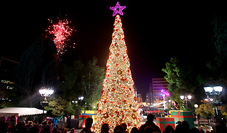Наркоман раздавил людей в Старый Новый год Наркоман раздавил людей в Старый Новый год