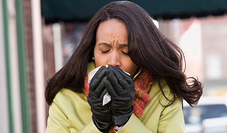 Россия на пороге эпидемии гриппа Россия на пороге эпидемии гриппа