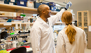 Создана микроволновая шапка-невидимка Создана микроволновая шапка-невидимка