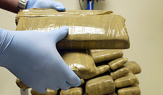 У депутата нашли три килограмма гашиша У депутата нашли три килограмма гашиша