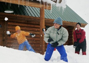 Брянцев пригласили окунуться в море «Снежного драйва»