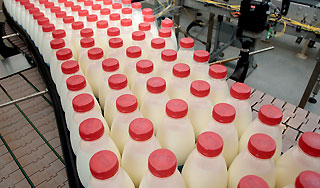 Молоку и мясу помогут вытеснить импорт Молоку и мясу помогут вытеснить импорт