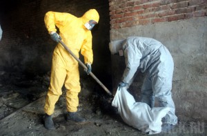 С территории Брянской области вывезли свыше 300 тонн ядохимикатов Фото: stihi.ru