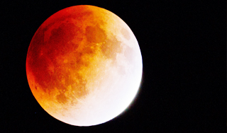 На Луне построят мощные телескопы На Луне построят мощные телескопы