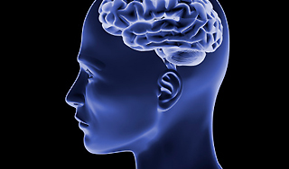 Мозгу готовят искусственное тело Мозгу готовят искусственное тело