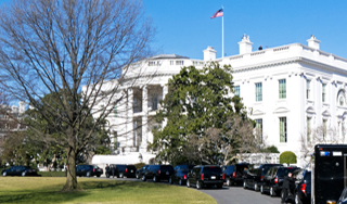 США уводят Болгарию от России США уводят Болгарию от России