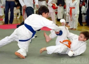 Почти 150 каратистов выступили на Кубке Брянской области