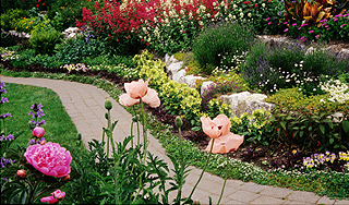 Британские ученые поговорили с овощами Британские ученые поговорили с овощами