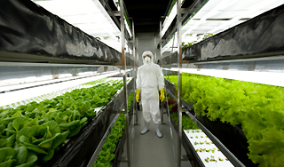 Как будут питаться люди через 30 лет Как будут питаться люди через 30 лет