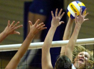 Волейбольный клуб «Брянск» завершил сезон на предпоследнем месте