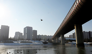 Девушка на спор убила себя Девушка на спор убила себя