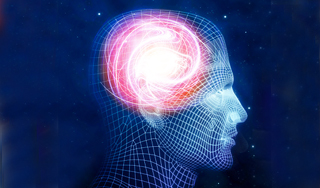 Ученые расшифруют мозговые коды Ученые расшифруют мозговые коды