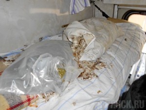 Гражданка Молдавии перевозила наркотики в подушке