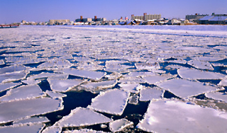 Идущий по Дунаю лед снес более сотни судов Идущий по Дунаю лед снес более сотни судов