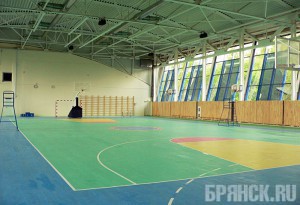 В Брянской области планируют открыть 15 спортивных объектов