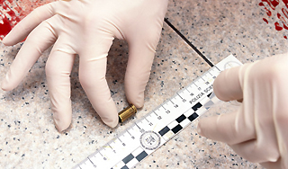 Американку достала пуля из Мексики Американку достала пуля из Мексики