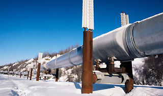 Украина обойдется без российского газа Украина обойдется без российского газа