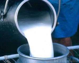 В стародубском молоке нашли антибиотики