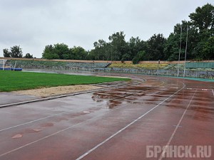 На стадионе «Десна» намерены обновить главную арену