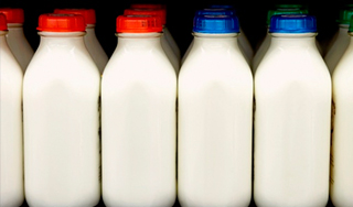 Украина запретила продукты из Белоруссии Украина запретила продукты из Белоруссии