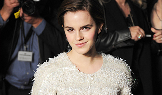 Из Гермионы сделают грабительницу Из Гермионы сделают грабительницу